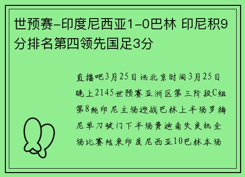 世预赛-印度尼西亚1-0巴林 印尼积9分排名第四领先国足3分