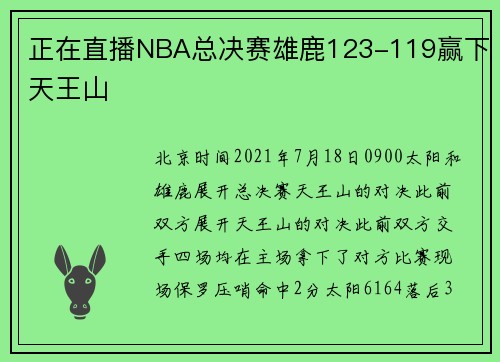 正在直播NBA总决赛雄鹿123-119赢下天王山